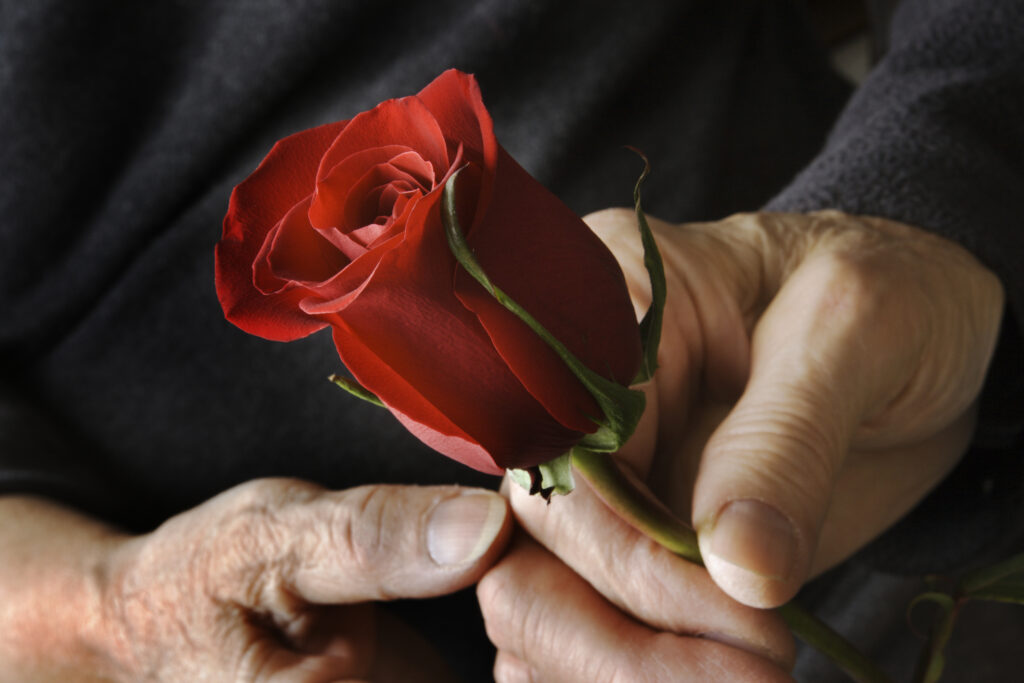 Préparer un enterrement choisir les fleurs - Odella.fr