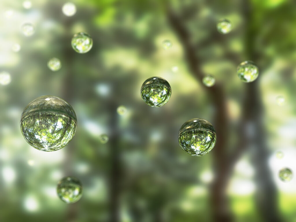 Enterrement écologique, le cercueil écologique - Odella.fr